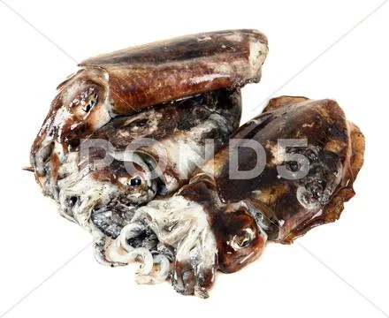 Cuttlefish Stock Photos