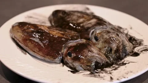Cuttlefish on a plate on the table. Seafood. Preparing cuttlefish for a meal. Stock Footage 297008358