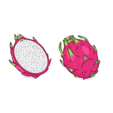Cutway dragon fruit Illustrazione stock