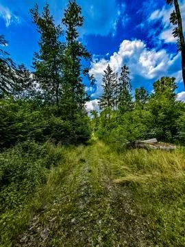 Cuva Stock-Fotos