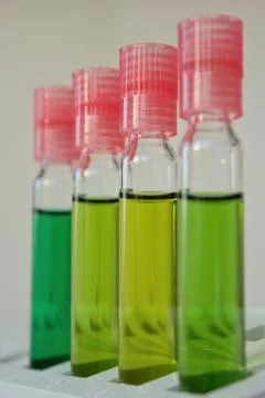 Cuvette with green indicator Stock Photos