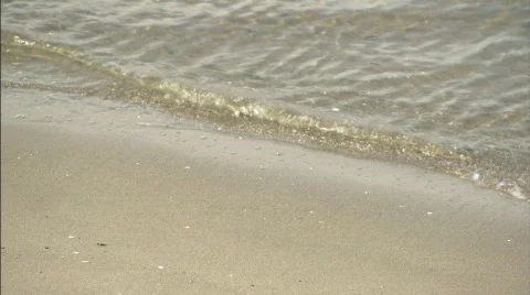 CUWavesOverSandyShore.mov Stock Footage 436078