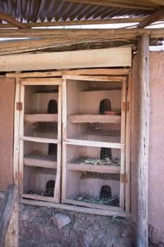Cuy cages Foto stock