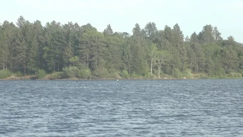 Cuyamaca lake woods Stock Footage 193992871