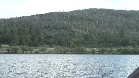 Cuyamaca roadside Stock Footage 193992927