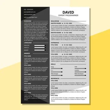 CV Resume Template 2 side Minimalist Clean and Dark Professional Illustrazione stock