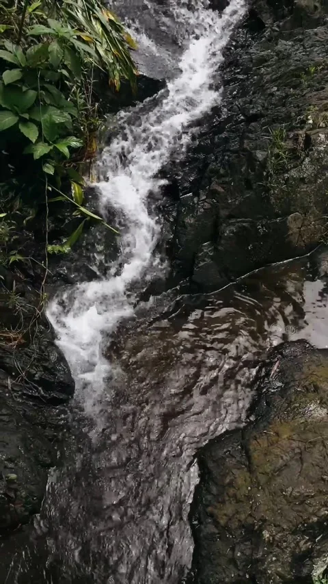 Cvbfd Stock Footage 240235104