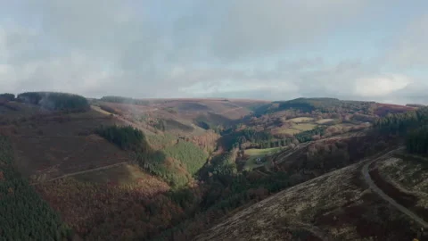 Cwmcarn forest Video stock 147555604