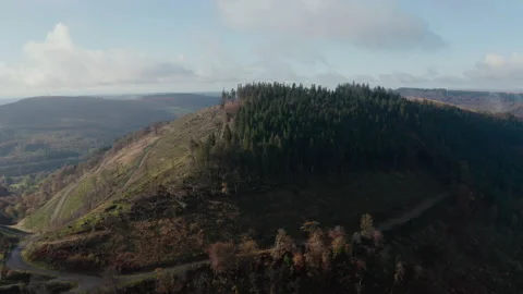 Cwmcarn forest Video stock 147555929