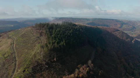 Cwmcarn forest Video stock 147556960