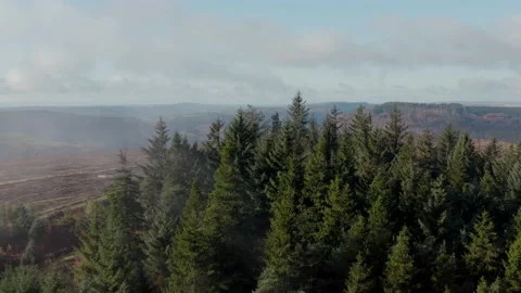 Cwmcarn forest Video stock 147557035