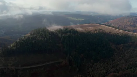 Cwmcarn forest Video stock 147558157