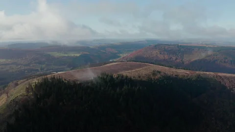 Cwmcarn forest Video stock 147558483