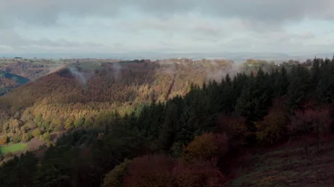 Cwmcarn forest Video stock 147559841