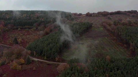Cwmcarn forest Video stock 147560250