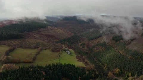 Cwmcarn forest Video stock 147561174