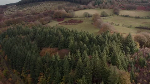 Cwmcarn forest Video stock 147562399