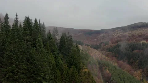 Cwmcarn forest Video stock 147563113