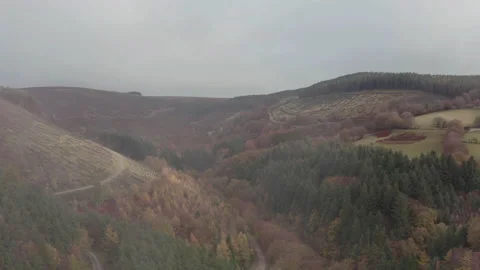 Cwmcarn forest Video stock 147563644