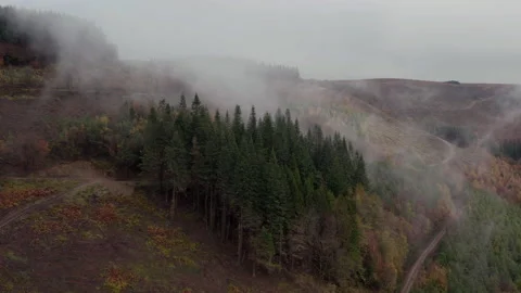 Cwmcarn forest Video stock 147564449