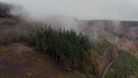 Cwmcarn forest Video stock 147565001