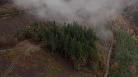 Cwmcarn forest Video stock 147565191