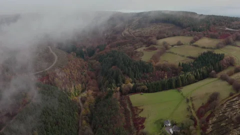 Cwmcarn forest Video stock 147566295