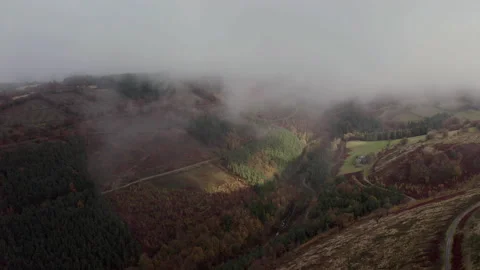 Cwmcarn forest Video stock 147566617