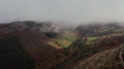 Cwmcarn forest Video stock 147566773