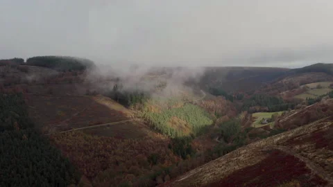 Cwmcarn forest Video stock 147567000