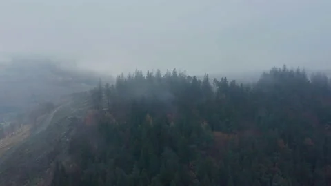 Cwmcarn forest Video stock 147567171