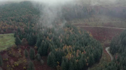 Cwmcarn forest Stock Footage 147567611