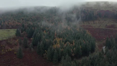 Cwmcarn forest Stock Footage 147567959