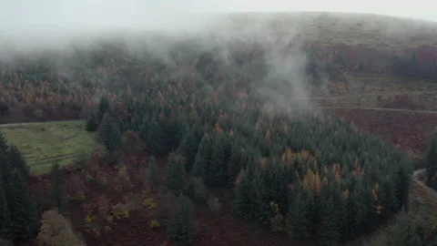 Cwmcarn forest Stock Footage 147568200