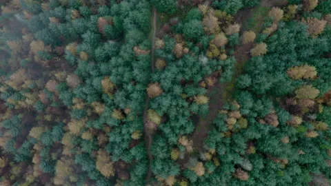 Cwmcarn forest Stock Footage 147570094