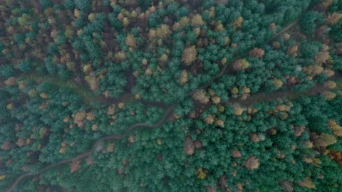 Cwmcarn forest Stock Footage 147570506