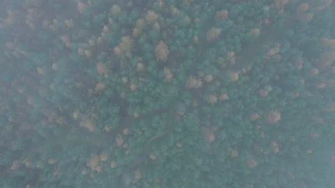 Cwmcarn forest Stock Footage 147570572