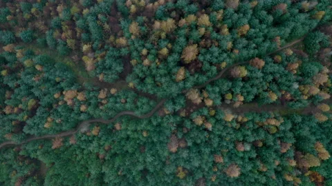 Cwmcarn forest Stock Footage 147571190