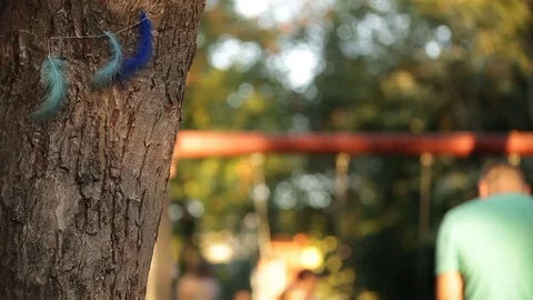 Cyan Blue Feathers Hanging in Tree against Playground Background Stock Footage