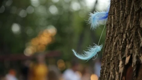 Cyan Blue Feathers Symbol of Faith Stock Footage