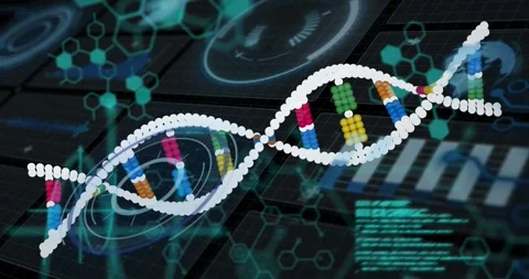 Cyan code appearing, DNA helix twisting, shifting right, revealing base pairs, Stock Footage 328657089