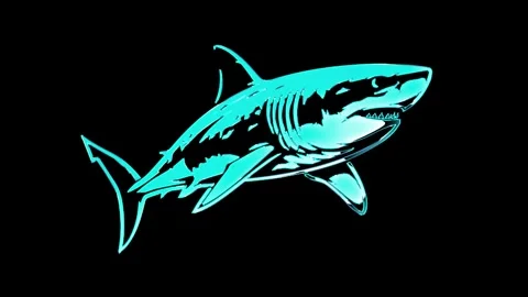 Cyan Neon Shark Predator Marine Dark Background Seamless Loop Video Stock Footage 340505953