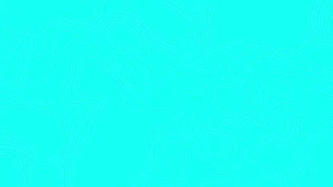 Cyan Topographic Map Animated Background with Blue Line in 4K Resolustion Stock Footage 314295986