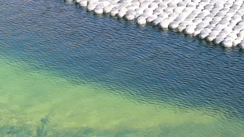 Cyanide pool Stock Footage 293951136