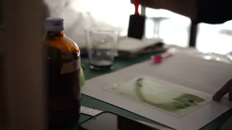 Cyanotype printmaking preparation process paint green substance before puttin Stock Footage 154039881