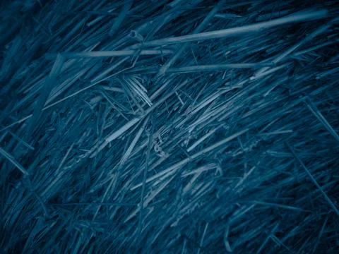 Cyanotype stylized straw texture with diagonal lines, abstract rural background Stock Photos