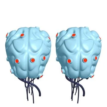 Cyber brain wired neural network. Robotic eternal organ. Cyborg brain イラスト素材