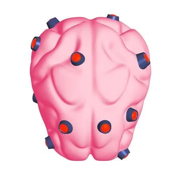 Cyber brain wired neural network. Robotic eternal organ. Cyborg brain Illustrazione stock