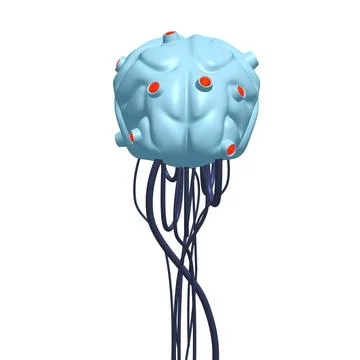 Cyber brain wired neural network. Robotic eternal organ. Cyborg brain 스톡 일러스트