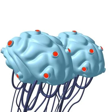 Cyber brain wired neural network. Robotic eternal organ. Cyborg brain Stock Illustration
